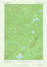 Download a high-resolution, GPS-compatible USGS topo map for Mooseleuk Lake, ME (1965 edition)
