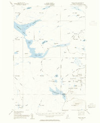 Download a high-resolution, GPS-compatible USGS topo map for Telos Lake, ME (1955 edition)