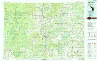 preview thumbnail of historical topo map of Big Rapids, MI in 1991