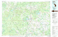 Download a high-resolution, GPS-compatible USGS topo map for Cadillac, MI (1984 edition)