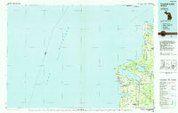 1984 Map of Frankfort, MI, 1985 Print