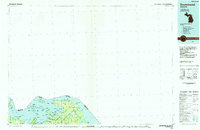 preview thumbnail of historical topo map of Chippewa County, MI in 1984