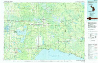 Download a high-resolution, GPS-compatible USGS topo map for Manistique Lake, MI (1985 edition)