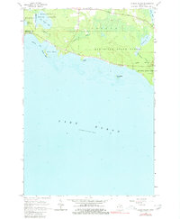Download a high-resolution, GPS-compatible USGS topo map for Albany Island, MI (1980 edition)