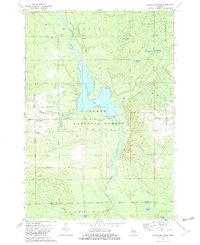 Download a high-resolution, GPS-compatible USGS topo map for Alcona Dam Pond, MI (1982 edition)