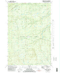 Download a high-resolution, GPS-compatible USGS topo map for Aldridge Creek, MI (1981 edition)