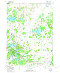 Download a high-resolution, GPS-compatible USGS topo map for Allegan, MI (1981 edition)