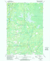 Download a high-resolution, GPS-compatible USGS topo map for Anderson Lake, MI (1989 edition)