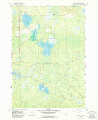 Download a high-resolution, GPS-compatible USGS topo map for Backus Lake, MI (1988 edition)