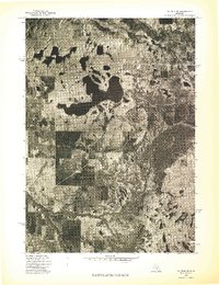 Download a high-resolution, GPS-compatible USGS topo map for Baldwin SW, MI (1976 edition)