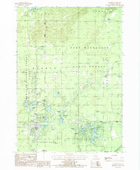 Download a high-resolution, GPS-compatible USGS topo map for Baldwin, MI (1987 edition)