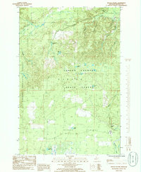 Download a high-resolution, GPS-compatible USGS topo map for Baraga Plains, MI (1986 edition)