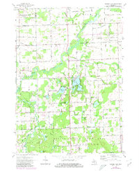 Download a high-resolution, GPS-compatible USGS topo map for Barnes Lake, MI (1980 edition)