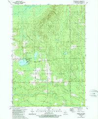 Download a high-resolution, GPS-compatible USGS topo map for Barton City, MI (1989 edition)