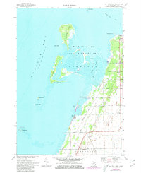 Download a high-resolution, GPS-compatible USGS topo map for Bay Port West, MI (1980 edition)