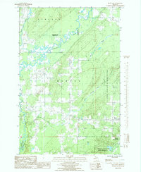 Download a high-resolution, GPS-compatible USGS topo map for Bear Town, MI (1985 edition)
