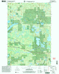 Download a high-resolution, GPS-compatible USGS topo map for Beaton, MI (2005 edition)