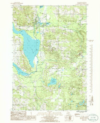 Download a high-resolution, GPS-compatible USGS topo map for Bellaire, MI (1986 edition)