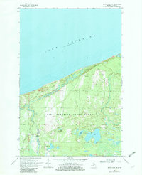 Download a high-resolution, GPS-compatible USGS topo map for Betsy Lake NW, MI (1982 edition)