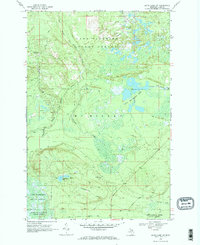 Download a high-resolution, GPS-compatible USGS topo map for Betsy Lake SW, MI (1971 edition)