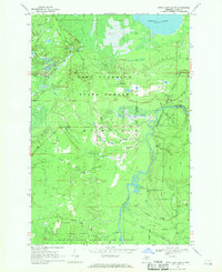 Download a high-resolution, GPS-compatible USGS topo map for Betsy Lake South, MI (1971 edition)