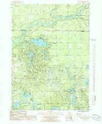 Download a high-resolution, GPS-compatible USGS topo map for Big Blue Lake, MI (1985 edition)