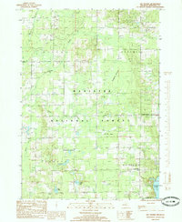 Download a high-resolution, GPS-compatible USGS topo map for Big Prairie, MI (1985 edition)