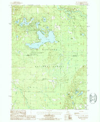 Download a high-resolution, GPS-compatible USGS topo map for Big Star Lake, MI (1987 edition)