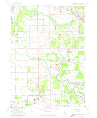 Download a high-resolution, GPS-compatible USGS topo map for Bridgeport, MI (1974 edition)