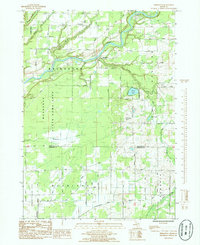 Download a high-resolution, GPS-compatible USGS topo map for Bridgeton, MI (1985 edition)