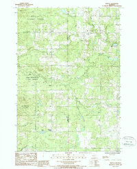 preview thumbnail of historical topo map of Osceola County, MI in 1987