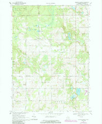 Download a high-resolution, GPS-compatible USGS topo map for Browns Corners, MI (1985 edition)