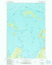 Download a high-resolution, GPS-compatible USGS topo map for Burnt Island, MI (1994 edition)