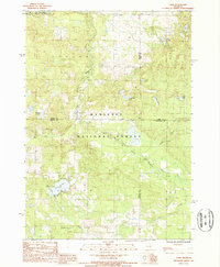 preview thumbnail of historical topo map of Oceana County, MI in 1987