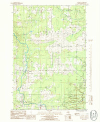 Download a high-resolution, GPS-compatible USGS topo map for Chandler, MI (1985 edition)