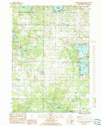 Download a high-resolution, GPS-compatible USGS topo map for Chippewa Lake South, MI (1985 edition)