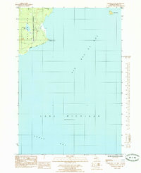 Download a high-resolution, GPS-compatible USGS topo map for Chippewa Point, MI (1985 edition)