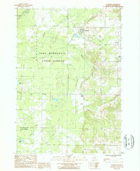 Download a high-resolution, GPS-compatible USGS topo map for Copemish, MI (1988 edition)