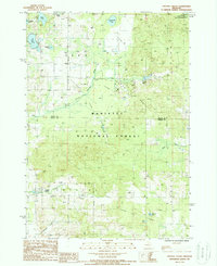 preview thumbnail of historical topo map of Oceana County, MI in 1987