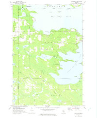 Download a high-resolution, GPS-compatible USGS topo map for Curtis West, MI (1975 edition)