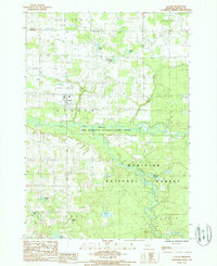 Download a high-resolution, GPS-compatible USGS topo map for Custer, MI (1988 edition)