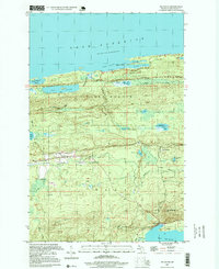 Download a high-resolution, GPS-compatible USGS topo map for Delaware, MI (1999 edition)