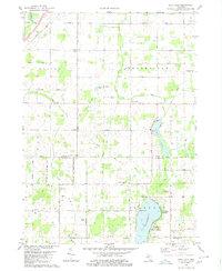 Download a high-resolution, GPS-compatible USGS topo map for Duck Lake, MI (1980 edition)