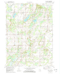 Download a high-resolution, GPS-compatible USGS topo map for East Leroy, MI (1982 edition)