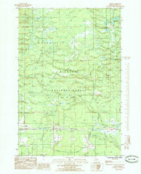 Download a high-resolution, GPS-compatible USGS topo map for Ensign, MI (1985 edition)