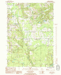 preview thumbnail of historical topo map of Oceana County, MI in 1985