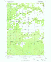 Download a high-resolution, GPS-compatible USGS topo map for Fibre, MI (1955 edition)