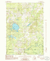 preview thumbnail of historical topo map of Fife Lake, MI in 1985