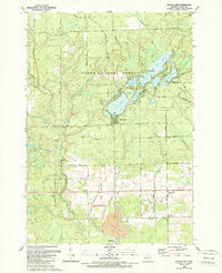 Download a high-resolution, GPS-compatible USGS topo map for Floyd Lake, MI (1989 edition)