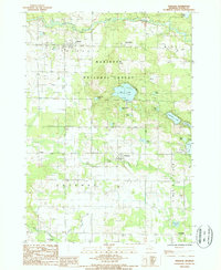 preview thumbnail of historical topo map of Mason County, MI in 1987